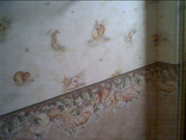 Floral wallpaper with decorative border in a finished room